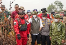 Menhut Minta Karhutla Pelalawan tak Ditinggal sebelum Pendinginan Tuntas