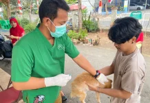 Dukung Zero Rabies, Sudin KPKP Jakarta Timur Vaksinasi 1.748 Hewan di Duren Sawit