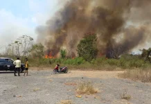 Api Lahap Semak Kering, Kepulan Asap Bikin Warga Nusa Kirana Waspada