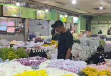 Berburu Bunga, Gen Z Ikut Ramaikan Pasar Rawa Belong