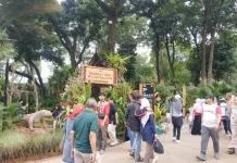 Stan Kepulauan Seribu di Flona 2026 Diserbu Pengunjung, 521 Orang Telah Berkunjung