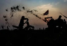 Tangguh di Atas Dua Roda: Perjuangan Ojek Padi Mengarungi Pasang Surut Panen