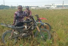 Roda-Roda Tangguh di antara Bulir Padi: Kisah Bang Udin Penakluk Jalan Setapak