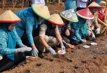 Dukung Ketahan Pangan, Pemkot Jaktim Tanam Ratusan Bibit Pangan Pendamping Beras