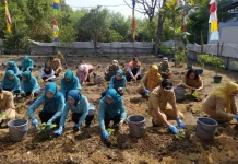 Kepulauan Seribu Canangkan Gerakan Tanam Serentak Tanaman Pangan