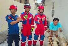 Kambing Tercebur Sumur, Petugas Damkar Bergerak Cepat