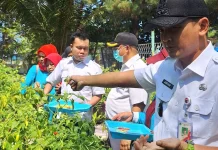Budidaya Hidroponik Kepulauan Seribu Hasilkan 30 Kilogram Kangkung
