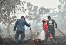 Kemenhut Perketat Pengendalian Karhutla di Enam Provinsi
