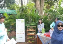 Sukun untuk Ketahanan Pangan, Potensi Tanaman Lokal Kepulauan Seribu di FLONA