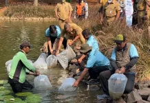 RRI Jakarta Tebar 5.000 Benih Ikan Nilem