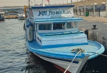 Menyambung Hidup di Laut: Saat Nahkoda Lokal Terancam Tergeser Armada Pemerintah