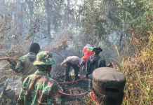 Kontribusi TNI dalam Penanganan Karhutla dan Bencana Dapat Apresiasi di Medsos