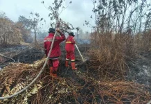 Hotspot Nasional Turun 121 Titik