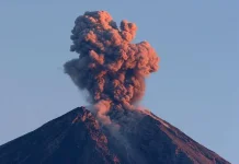 Pengaruh Erupsi Gunung Berapi pada Ekosistem, Ini Penjelasan Pakar IPB University