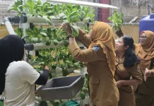 Hidroponik Jadi Solusi Pertanian di Lahan Terbatas Kepulauan Seribu