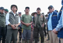 Asap Karhutla IKN kembali Tinggi, Menhut Minta Petugas Langsung Turun