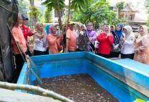 Poktan Pondok Kelapa Panen 20 Kilogram Lele, Urban Farming untuk Ketahanan Pangan