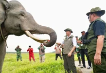Jaga Gajah dari Karhutla, Menhut Raja Antoni Pertebal Pasukan Darat