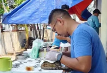 Kendalikan Populasi, 111 Kucing di Kepulauan Seribu Divaksin Gratis