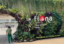Flona 2026 Jadi Ruang Rekreasi dan Edukasi Flora di Jakarta