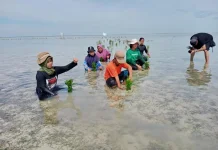 PBKL Dorong Budidaya dan Konservasi Laut Berkelanjutan