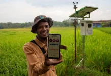 Internet Ubah Cara Masyarakat Bekerja dan Beraktivitas