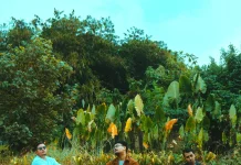 Tak Pernah Pudar, Kisah Tiga Sahabat