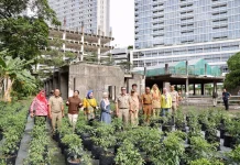 Urban Farming hingga HET-HAP, Upaya Pemprov DKI Jaga Pangan Jakarta