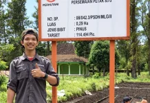 Dari Kehutanan ke Telekomunikasi, Kisah Karier Lintas Bidang