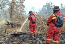 Kemenhut Perkuat Pengendalian Kebakaran Hutan dan Lahan