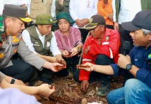Menhut Siap Bentuk Badan Pengelola Gambut dan Mangrove Nasional