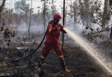 Hotspot Karhutla High Confidence Naik, Kemenhut Perkuat Pengendalian Kebakaran