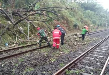 Pohon Tumbang Ganggu Perjalanan KA, Penanganan selesai 15.50 WIB