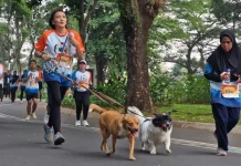 Ribuan Peserta Ikuti World Rabies Day Run 2026