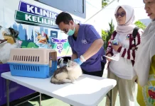 Ini Jadwal Lengkap Mobil Klinik Hewan Keliling di Jakarta Timur, selama Oktober