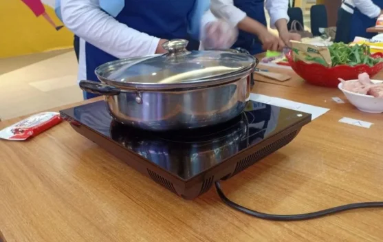 DEN: Elektrifikasi Rumah Tangga dan Transportasi Kunci Ketahanan Energi Nasional