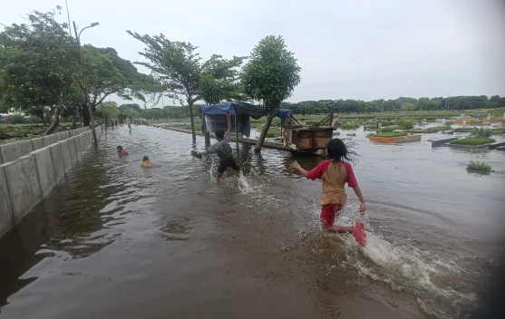 BMKG Peringatkan Potensi Banjir Rob di Pesisir Jakarta Pekan Ini