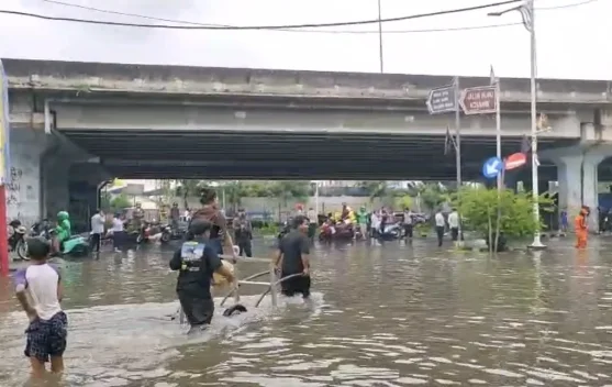 Pelestarian Hutan di Jabar Dinilai Berdampak bagi Jakarta dan Sekitarnya - RRI.co.id