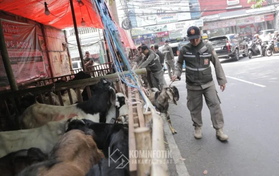 Mengganggu Kenyamanan Warga, Lapak Hewan Kurban di Tanah Abang Ditertibkan
