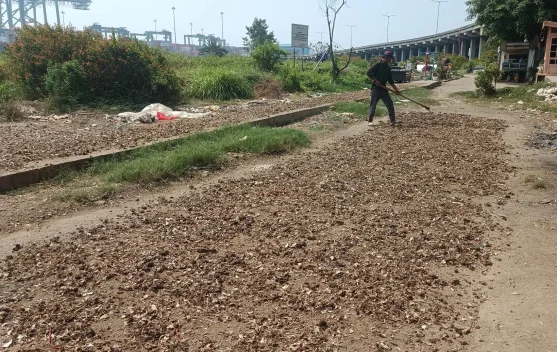 Langka Bahan Baku,  Pengolahan Rebon di Jakarta Utara Berhenti Produksi