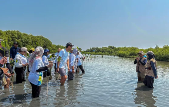 Perkuat Ketahanan Pesisir, PLN EPI Tanam 1.680 Mangrove di Karawang
