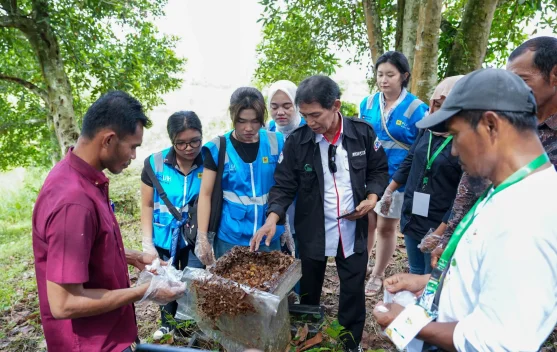 PLN EPI Dorong UMKM Naik Kelas lewat Budidaya Madu Kelulut