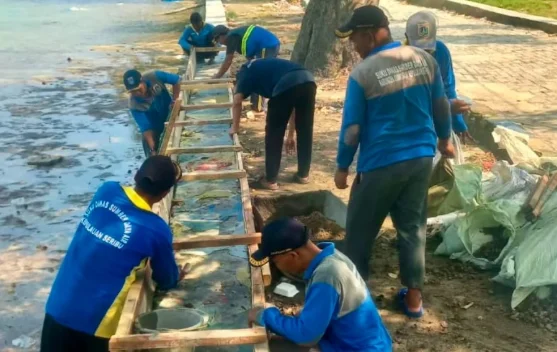 Tanggul Pulau Kelapa Ditinggikan, Warga Diharapkan Terlindungi dari Ancaman Rob