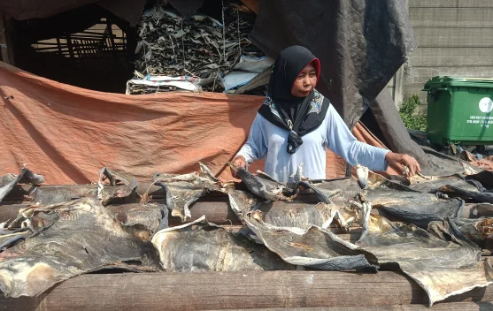 Kulit Ikan yang Mengubah Nasib Keluarga