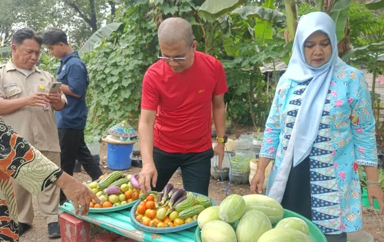 Kolaborasi Warga dan PPSU: Mengubah Lahan "Tidur" yang Gersang Jadi Oase Produktif