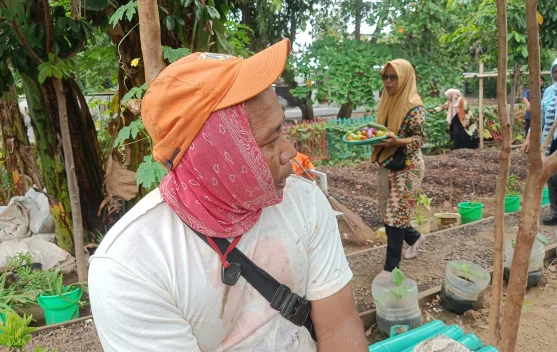 Dedikasinya Petugas PPSU Merawat Ketahanan Pangan di Tengah Kota