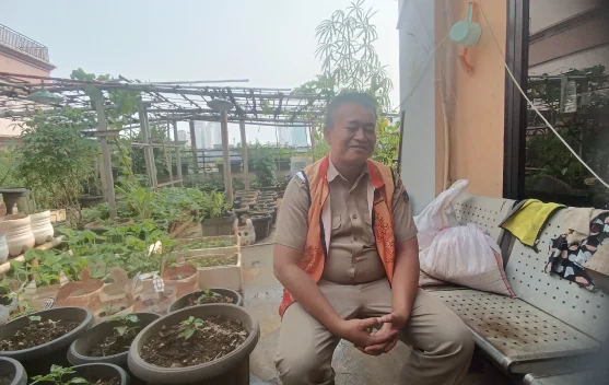 Kelurahan Tangki Sulap Rooftop Gedung Jadi Lahan Pertanian Produktif