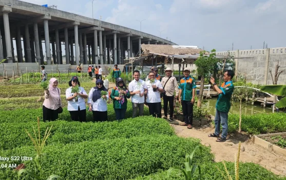 Ubah Wajah Kampung, Pemuda Rawa Malang Optimis Bangun Greenhouse di Area Waduk
