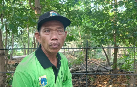 Meniti Harapan di Hutan Kota Rorotan: Kisah Sang Penjaga Paru-Paru Ibu Kota