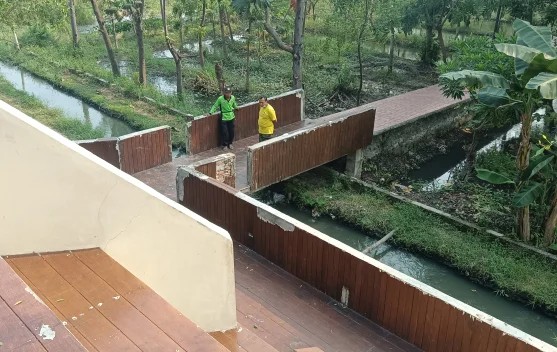 Kisah Petugas Menjaga Paru-Paru Kota, Merawat Hutan Kota Rorotan dengan Hati